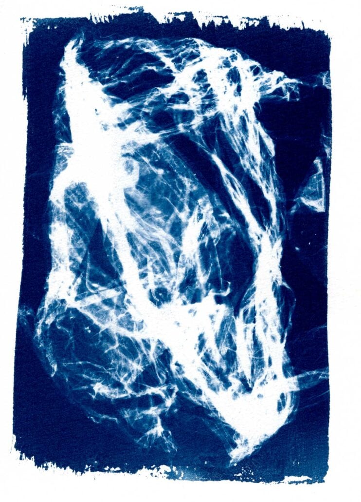 cyanotype-artistique-metamorphoses-11 Cyanotype d’un grand morceau d’emballage industriel transparent, réalisé par Baptiste Vanoni dans la région rennaise pour la série Métamorphoses.