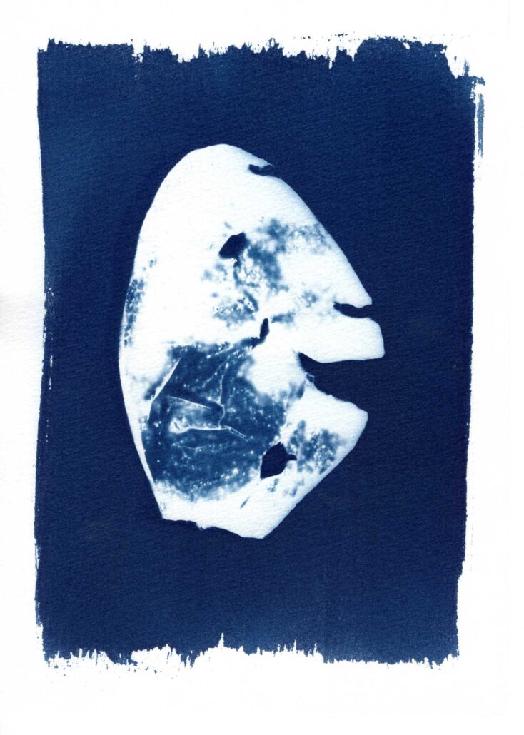 cyanotype-artistique-metamorphoses-15 Cyanotype peau de mangue en forme de visage, série Métamorphose Baptiste Vanoni, Bréquigny Rennes