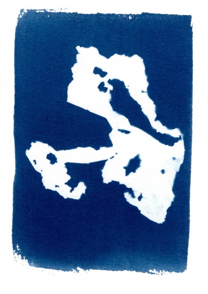 cyanotype-artistique-metamorphoses-16 Emballage plastique froissé cyanotype - déchet consumériste Bréquigny - Métamorphoses Baptiste Vanoni