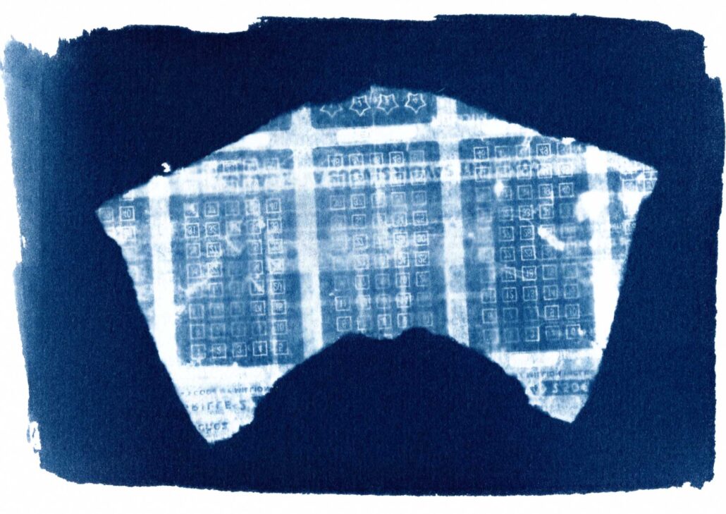cyanotype-artistique-metamorphoses-23 Cyanotype d’un fragment de feuille de loto, collecté dans la région rennaise.
