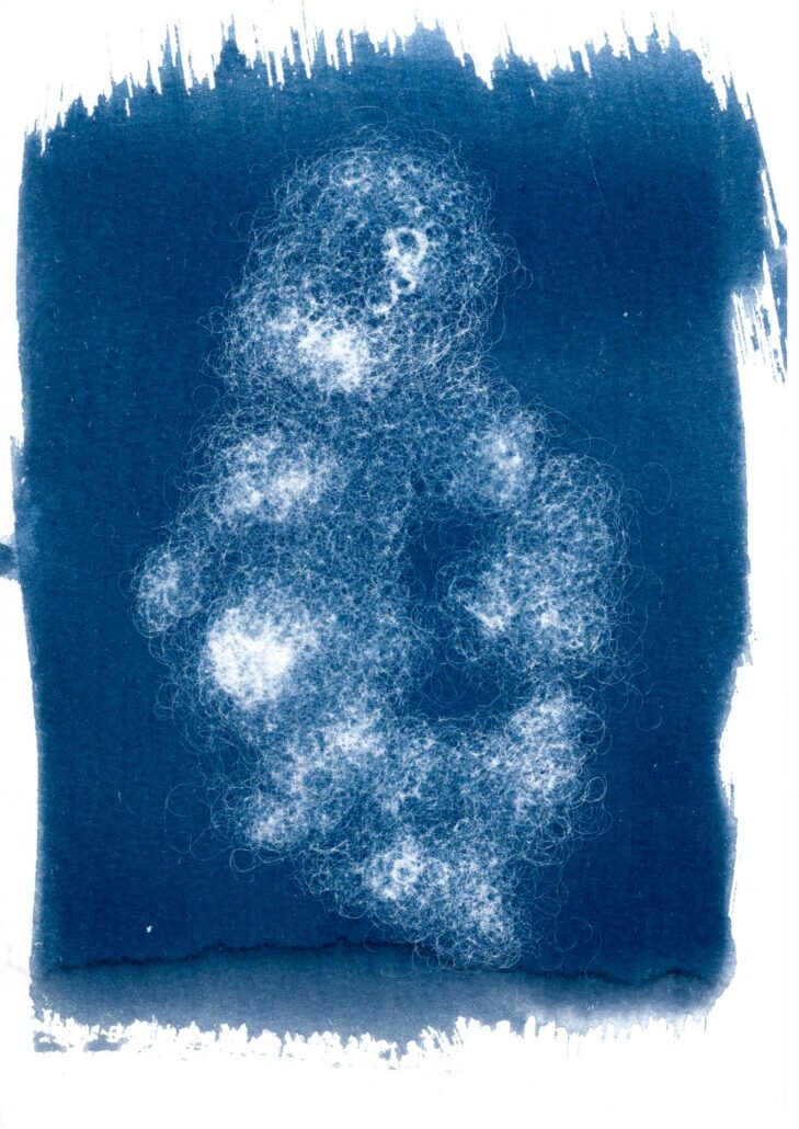 cyanotype-artistique-metamorphoses-3 Cyanotype de rembourrage de peluche en fibre, collecté dans le quartier Bréquigny à Rennes.