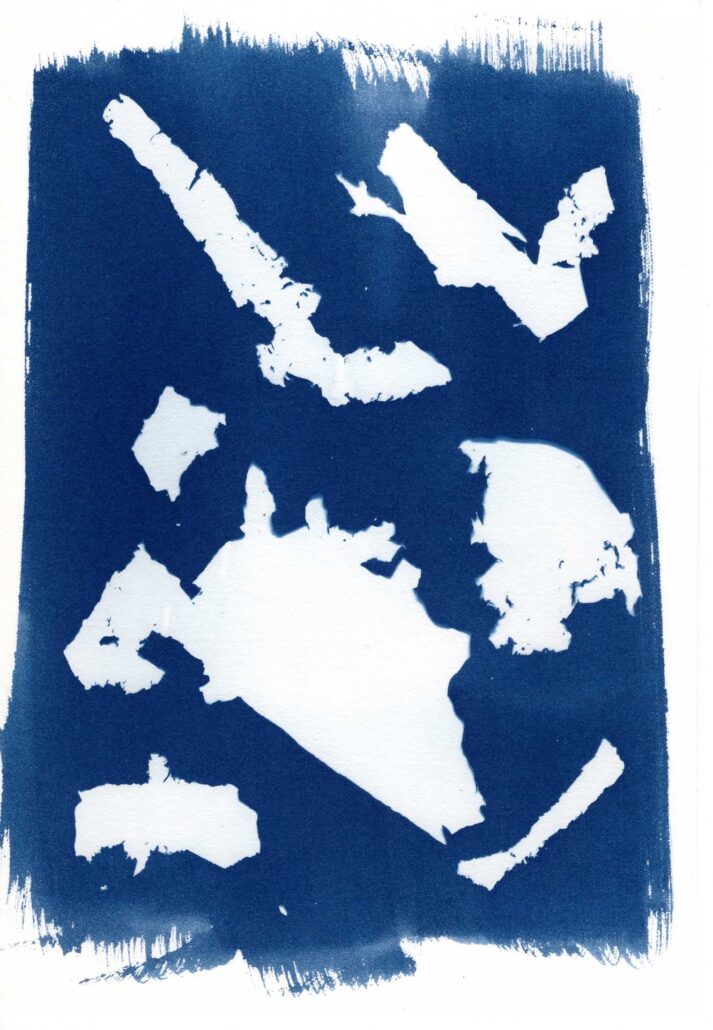 cyanotype-artistique-metamorphoses-7 Cyanotype de petits morceaux de peinture séchée collectés dans le quartier Bréquigny à Rennes.