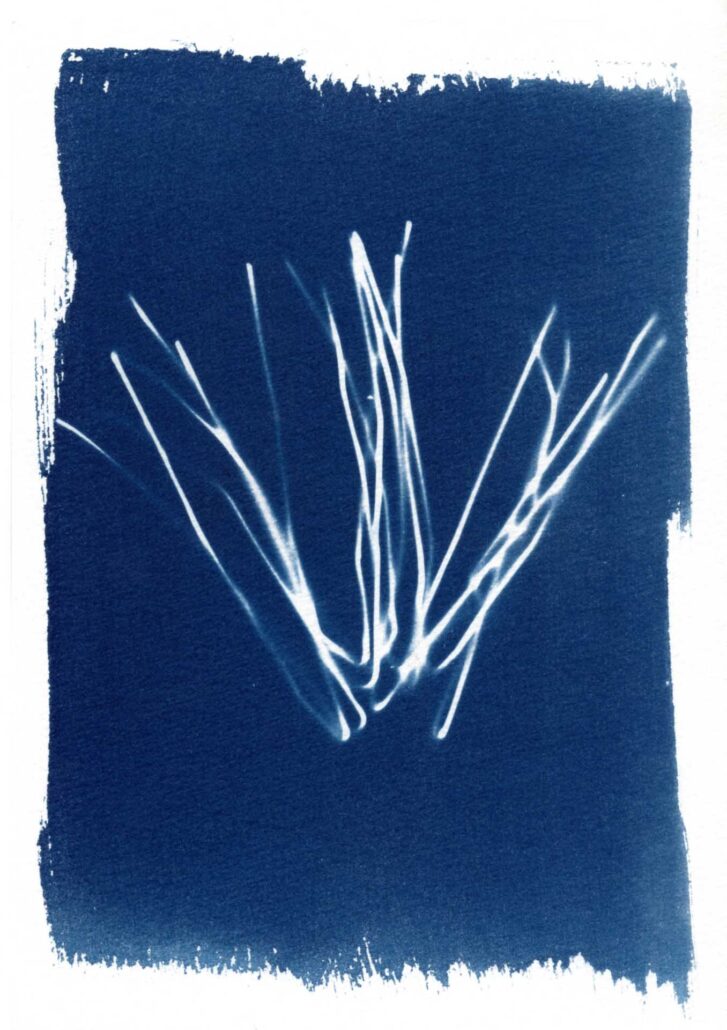 cyanotypes-metamorphoses-baptiste-vanoni-rennes.-3 Cyanotype fibres balai mécanique usées - résidu urbain Métamorphoses - Baptiste Vanon