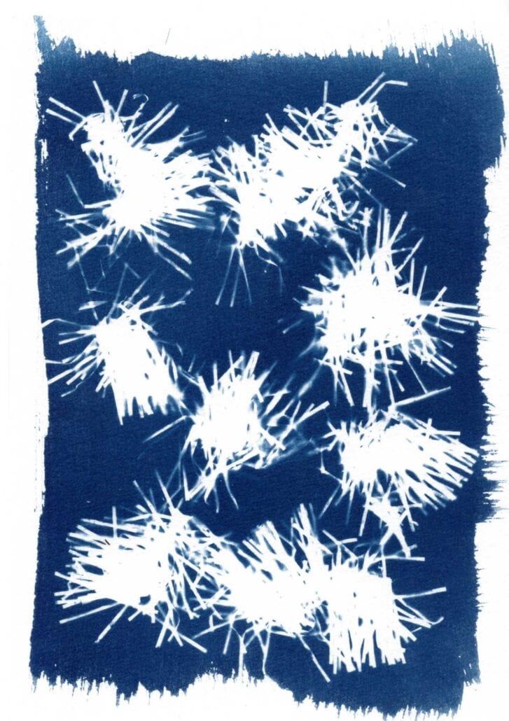 cyanotypes-metamorphoses-baptiste-vanoni-rennes.-4 Fragment guirlande argentée en cyanotype - déchet festif Rennes - série Métamorphoses