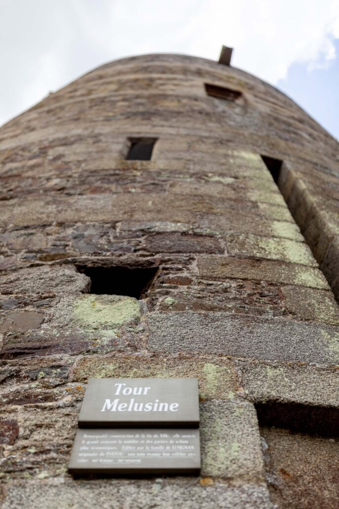 Tour M&eacute;lusine contre-plong&eacute;e - Foug&egrave;res